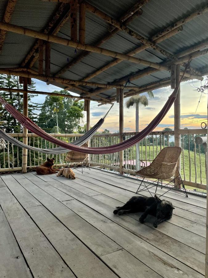 Rancho Ventura Villa Filandia Buitenkant foto