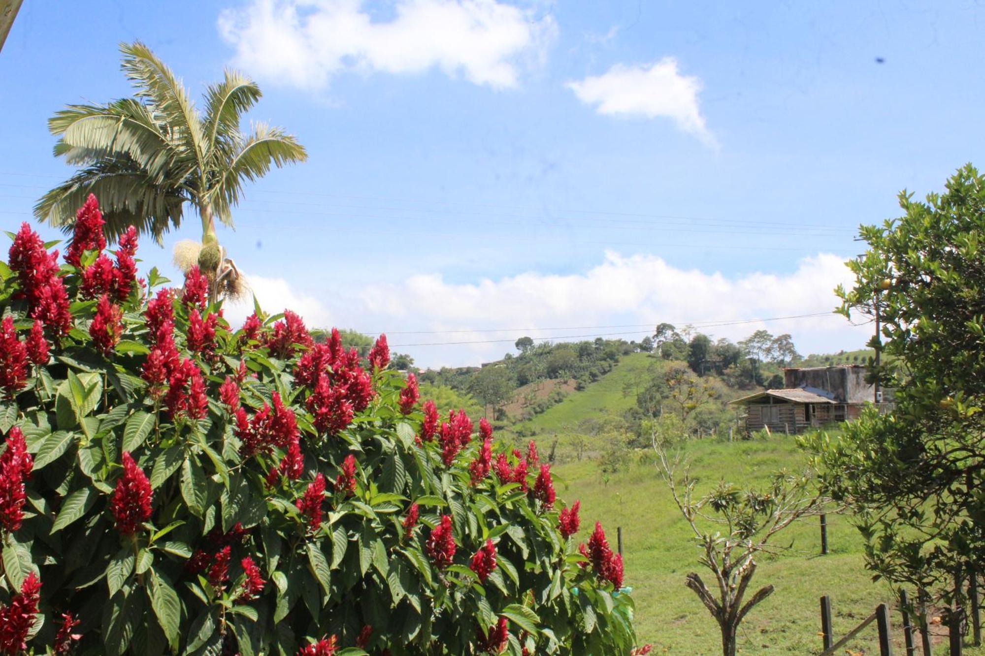 Rancho Ventura Villa Filandia Buitenkant foto