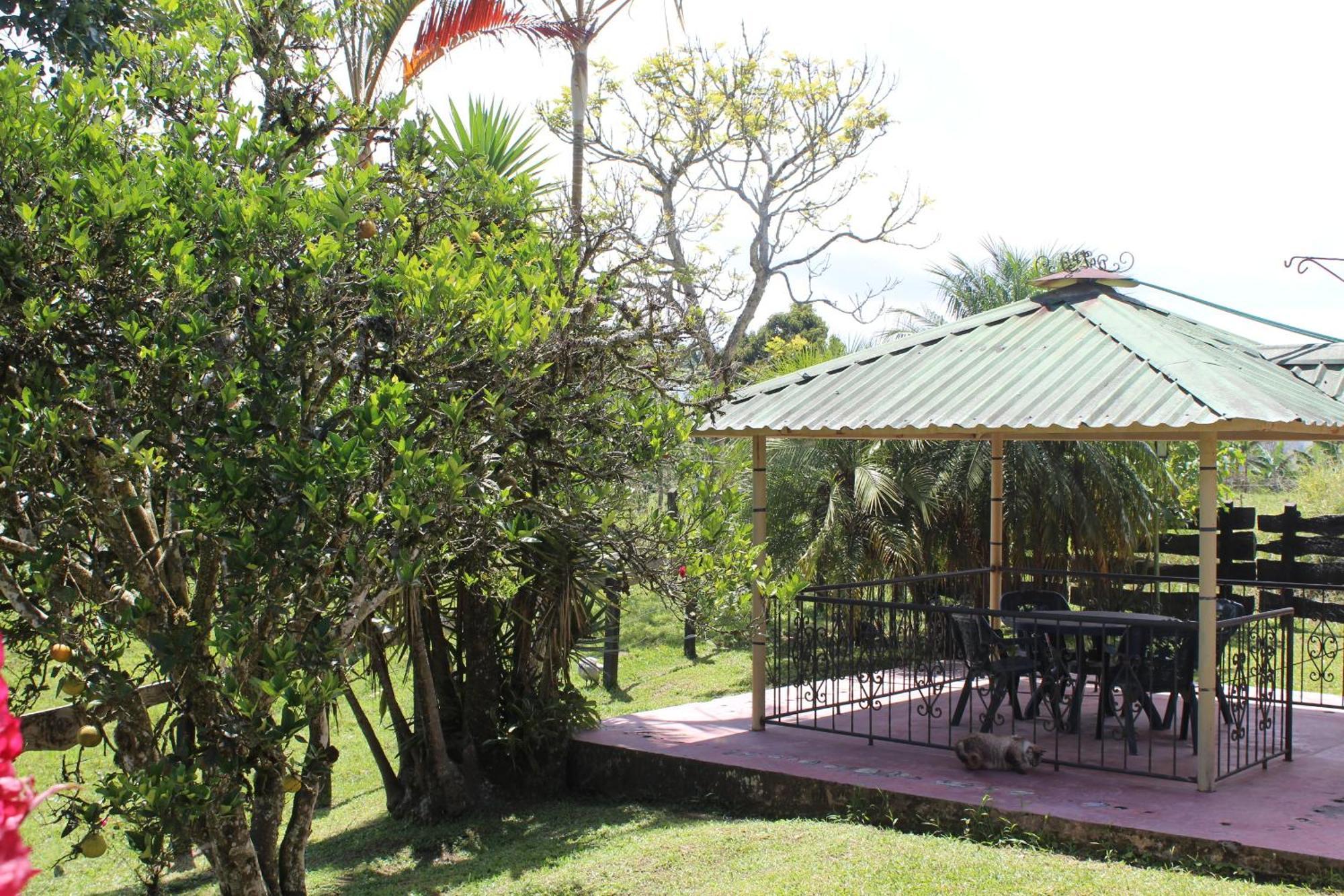 Rancho Ventura Villa Filandia Buitenkant foto