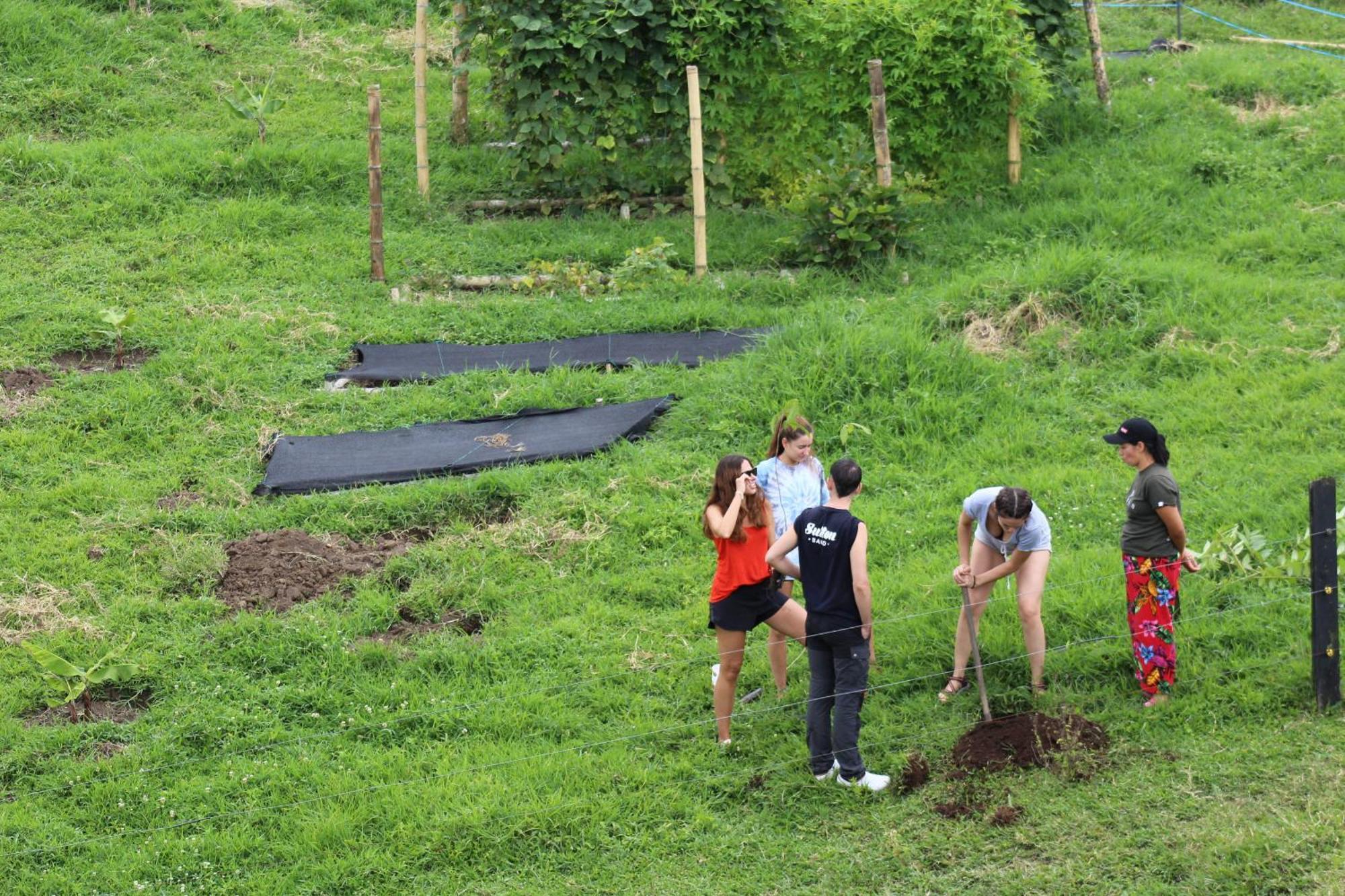 Rancho Ventura Villa Filandia Buitenkant foto